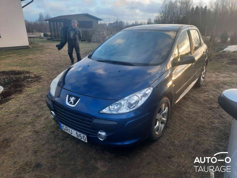 Peugeot 307, 1.6 l.