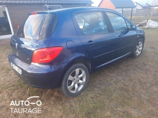 Peugeot 307, 1.6 l.