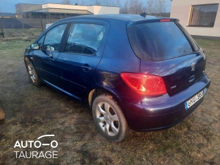 Peugeot 307, 1.6 l.